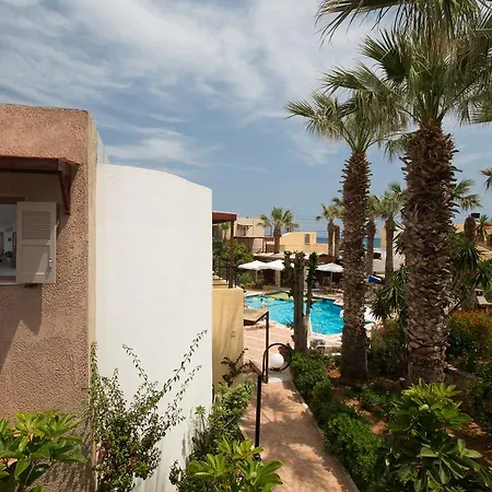 Latania ヘルソニソス